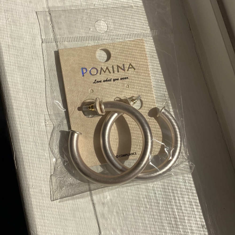 Matte Silver Hoops